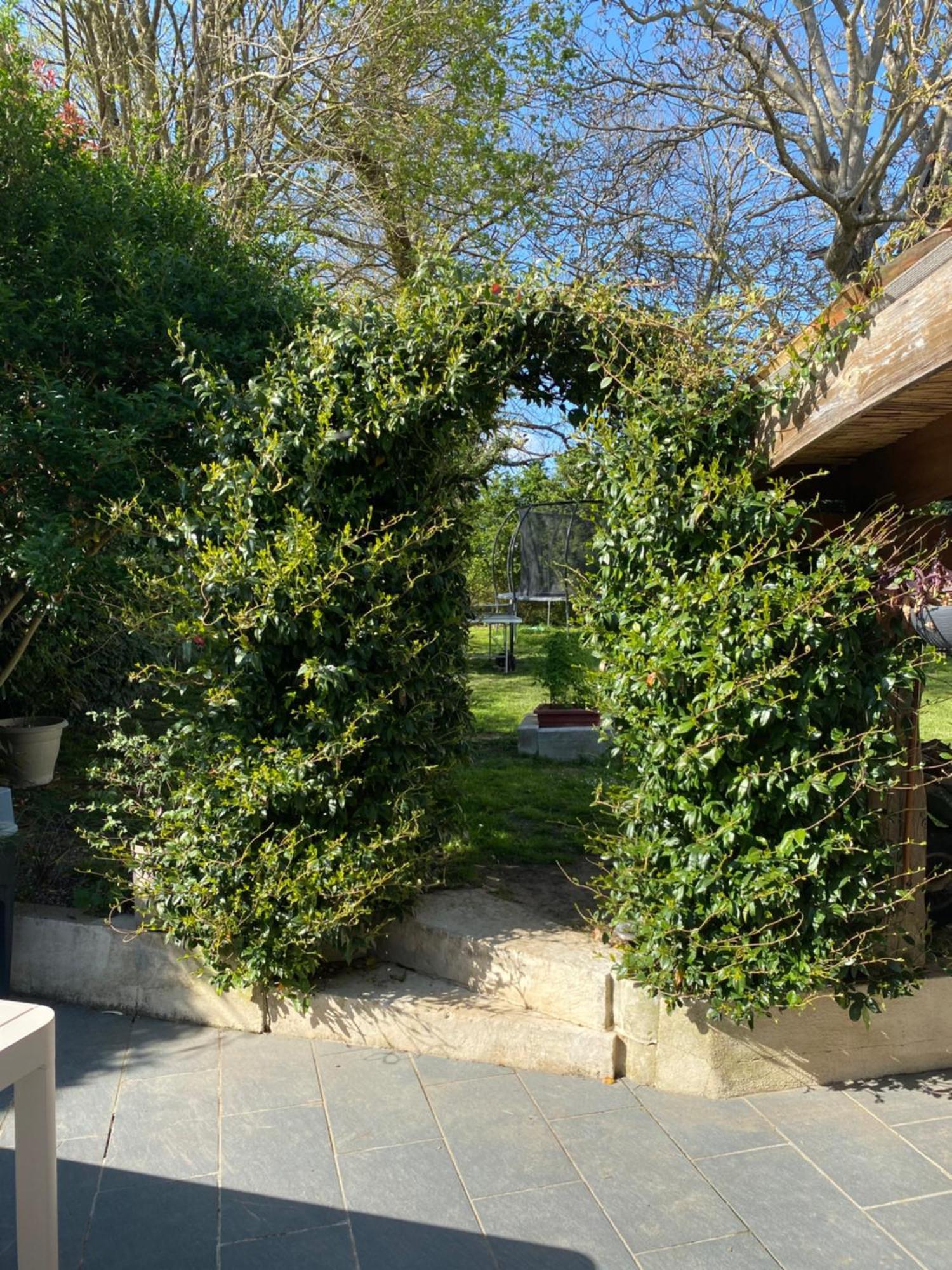 Вилла Les 5 Timbres Montpellier-de-Medillan Экстерьер фото